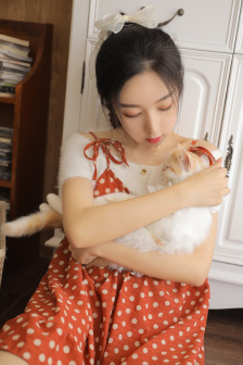 玉夫人传电视剧免费观看全集高清